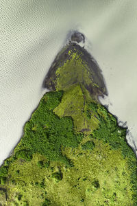 Drone view of rough rocky brown formations surrounded by lush green plants covered with thick fog in nature of iceland