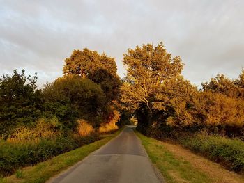 Road amidst trees against sky