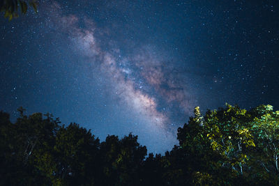 Low angle view of trees against sky at night