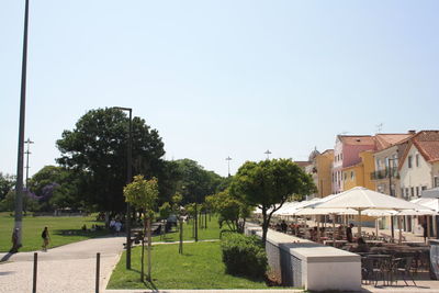 Trees and houses by street against sky in city