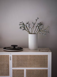 Potted plant on table against wall at home