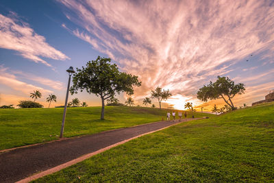 Trees on field against sky during sunset