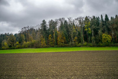 Trees on field against sky