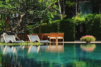 Lounge chairs by swimming pool