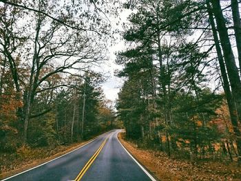 Road amidst trees against sky