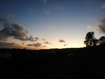 Silhouette trees on field against sky during sunset