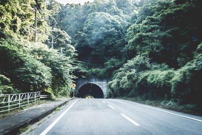 High angle view of road amidst trees