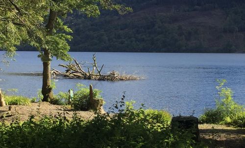 Scenic view of calm lake