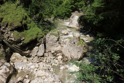 Stream flowing through rocks in forest