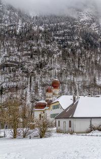 Snow covered houses and trees by buildings in city