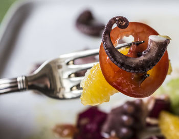 Close-up of dessert on plate