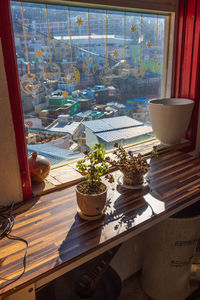 window