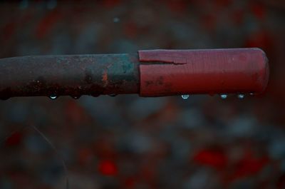 Close-up of water drop on rusty metal