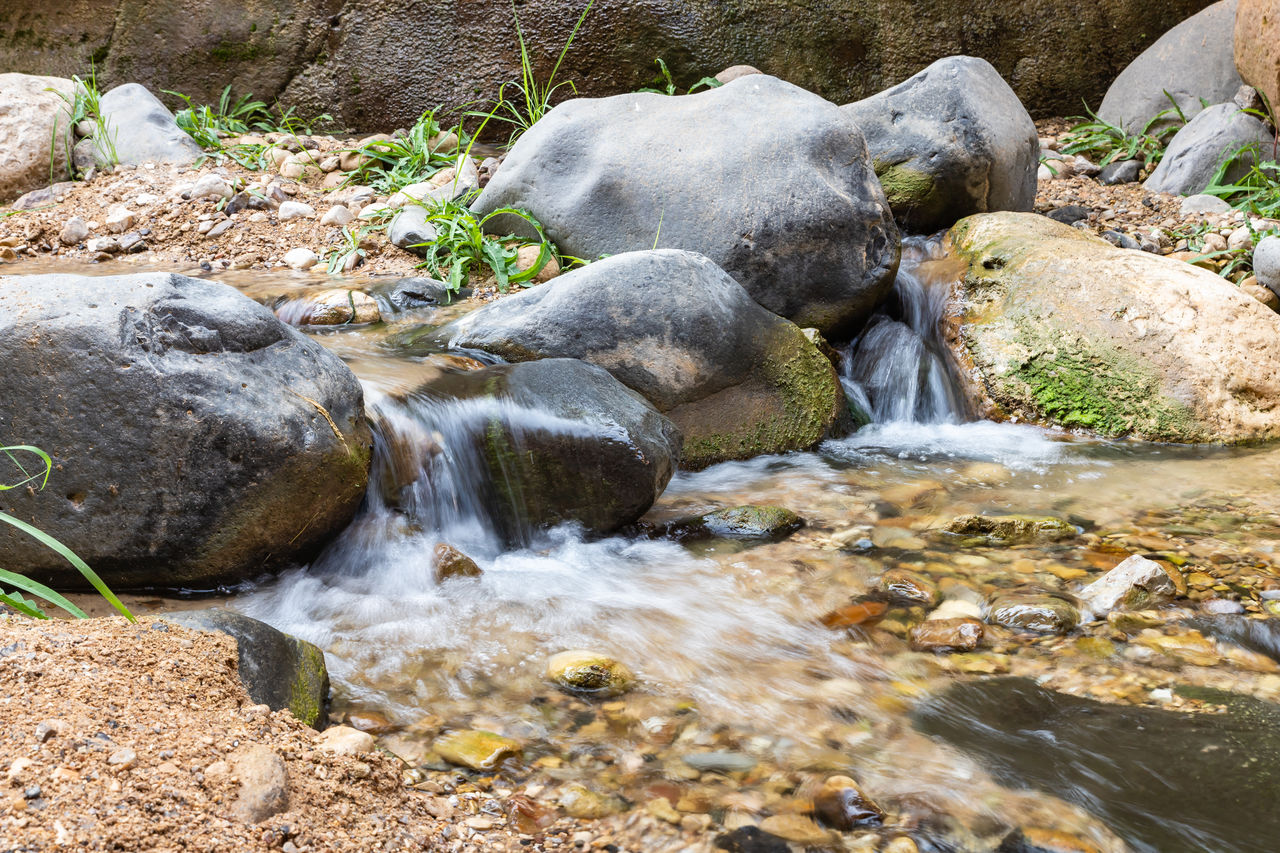 rock, water, stream, nature, beauty in nature, no people, wilderness, motion, land, day, river, body of water, flowing water, waterfall, wildlife, scenics - nature, rapid, water feature, flowing, outdoors, watercourse, autumn, animal, animal themes, plant, animal wildlife, stream bed, sunlight, forest, environment