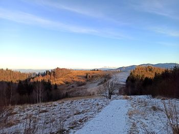 Scenic view of snow covered field against sky