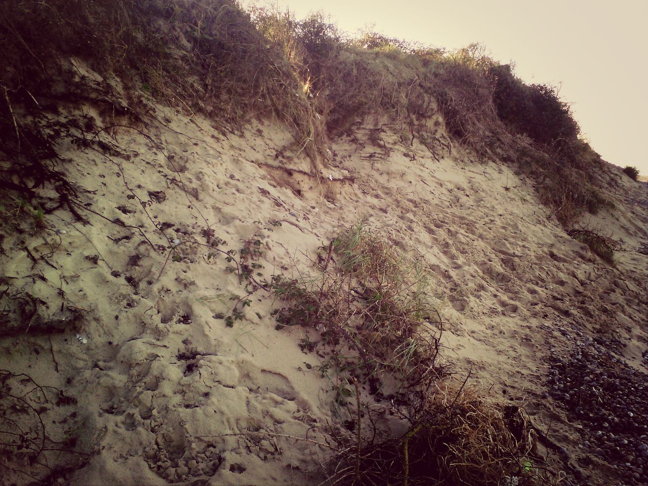 Baie De Somme