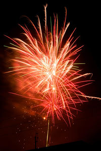 Low angle view of firework display at night