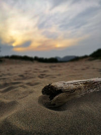 Surface level of beach against sky during sunset