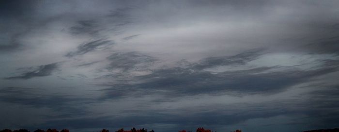 Silhouette of trees against cloudy sky