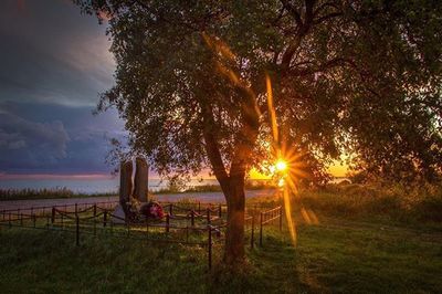 Scenic view of grassy field against sky at sunset