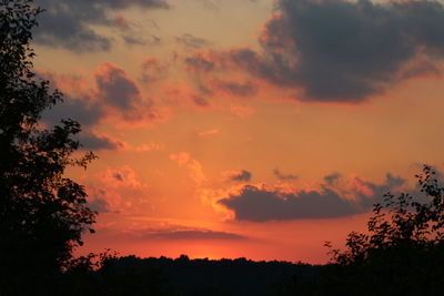 Silhouette of trees against dramatic sky