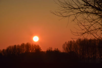 Silhouette trees against sky during sunset