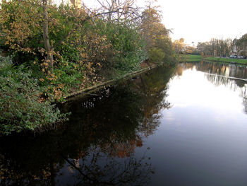 Scenic view of lake in forest against sky