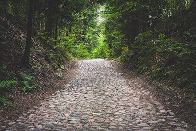 Dirt road amidst trees in forest