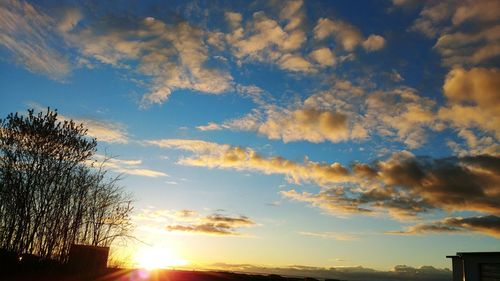 Low angle view of silhouette trees against sky during sunset