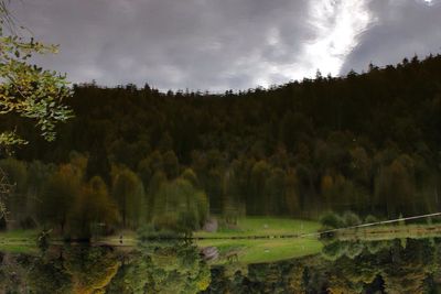 Panoramic view of trees on landscape against sky