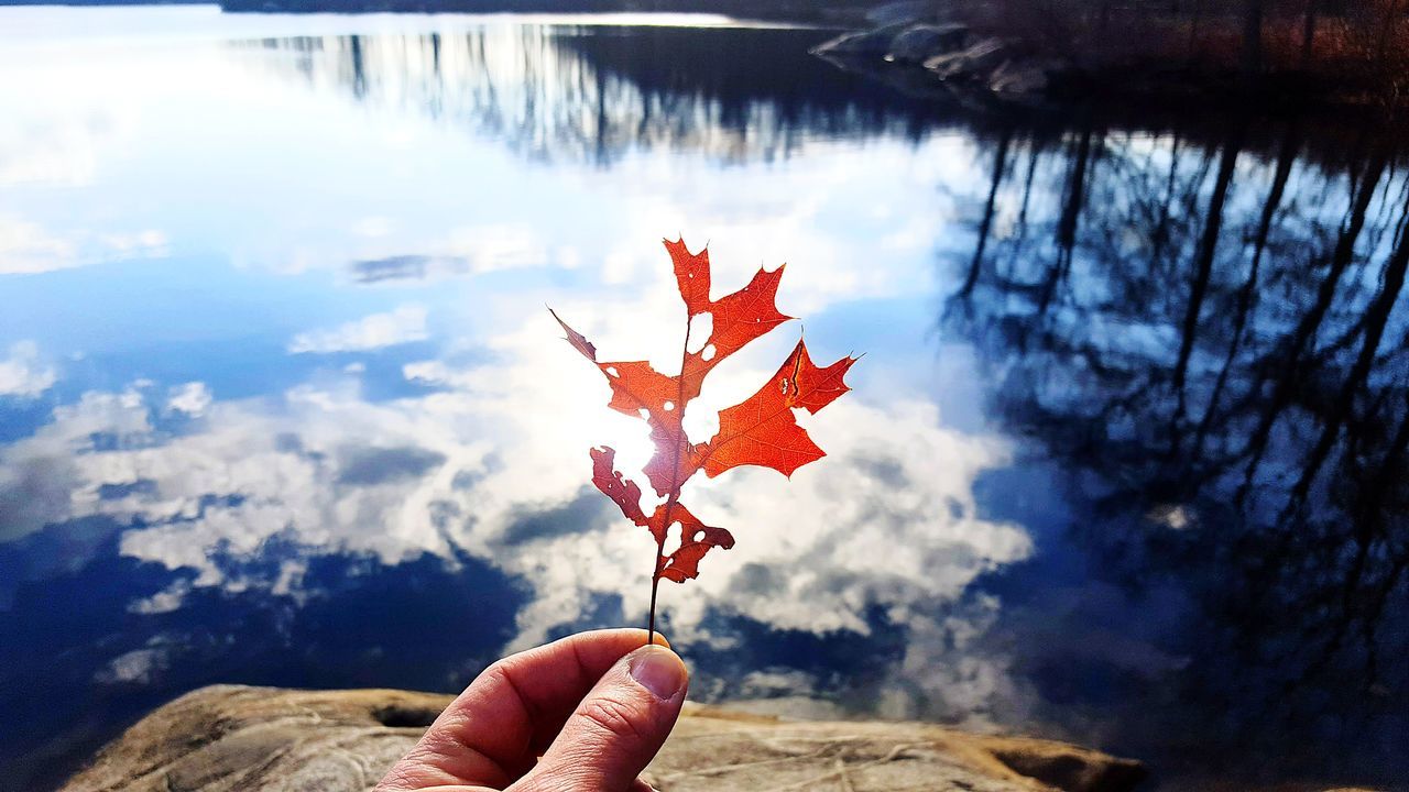 CLOSE-UP OF HAND HOLDING MAPLE LEAF AGAINST SKY DURING AUTUMN