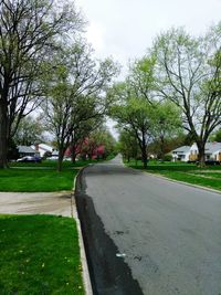 Road by trees against sky