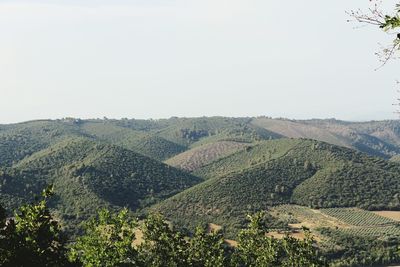 Scenic view of landscape against clear sky