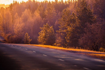 A beautiful landscape with a country road in misty morning during the sunrise. 