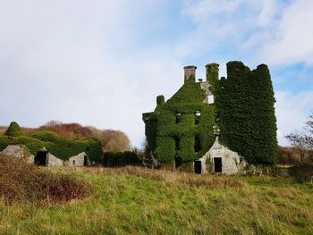 Ruine in galway 
