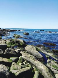 Scenic view of sea against clear sky