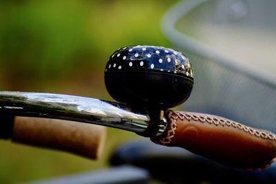 Close-up of snake on table