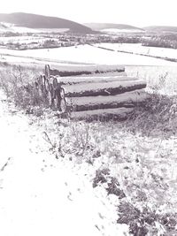 Scenic view of field during winter