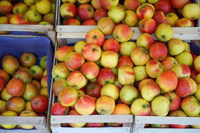 High angle view of apples for sale