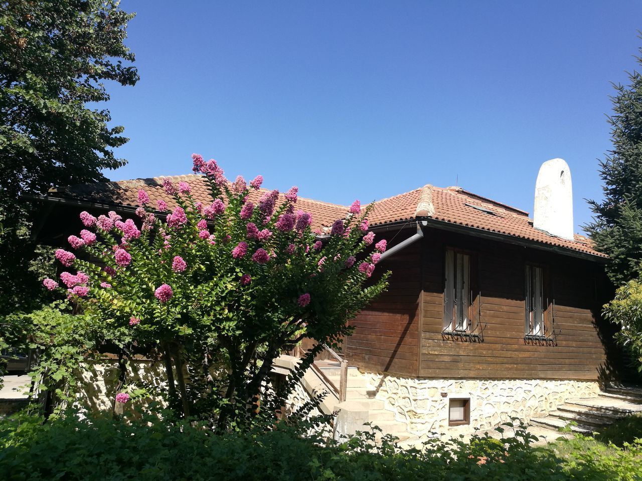 PINK FLOWERING TREE BY BUILDING AGAINST SKY