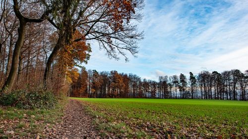 Trees on field against sky during autumn