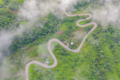 High angle view of road amidst trees in forest