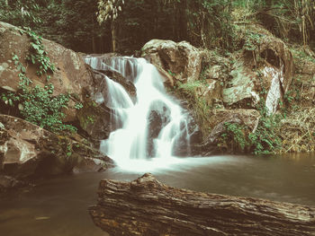 Scenic view of waterfall in forest