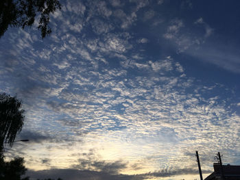 Low angle view of silhouette tree against sky