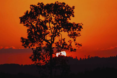 Low angle view of silhouette tree against orange sky