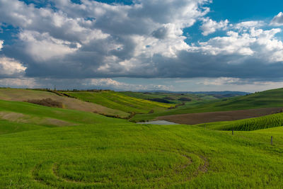 Scenic view of agricultural field against sky