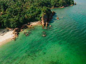 High angle view of sea and trees