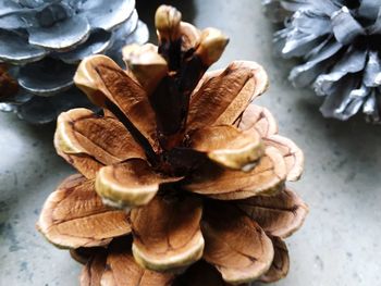 High angle view of food on table