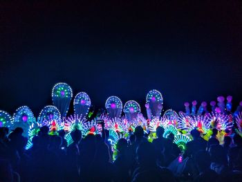 Crowd at music concert