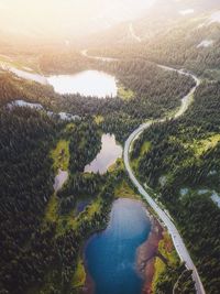 High angle view of road passing through trees